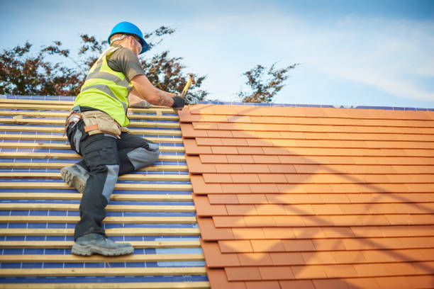 Best Roof Repair  in Nesquehoning, PA